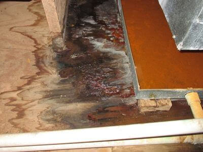 About HydroBolt Team - water damage restoration experts in Upland